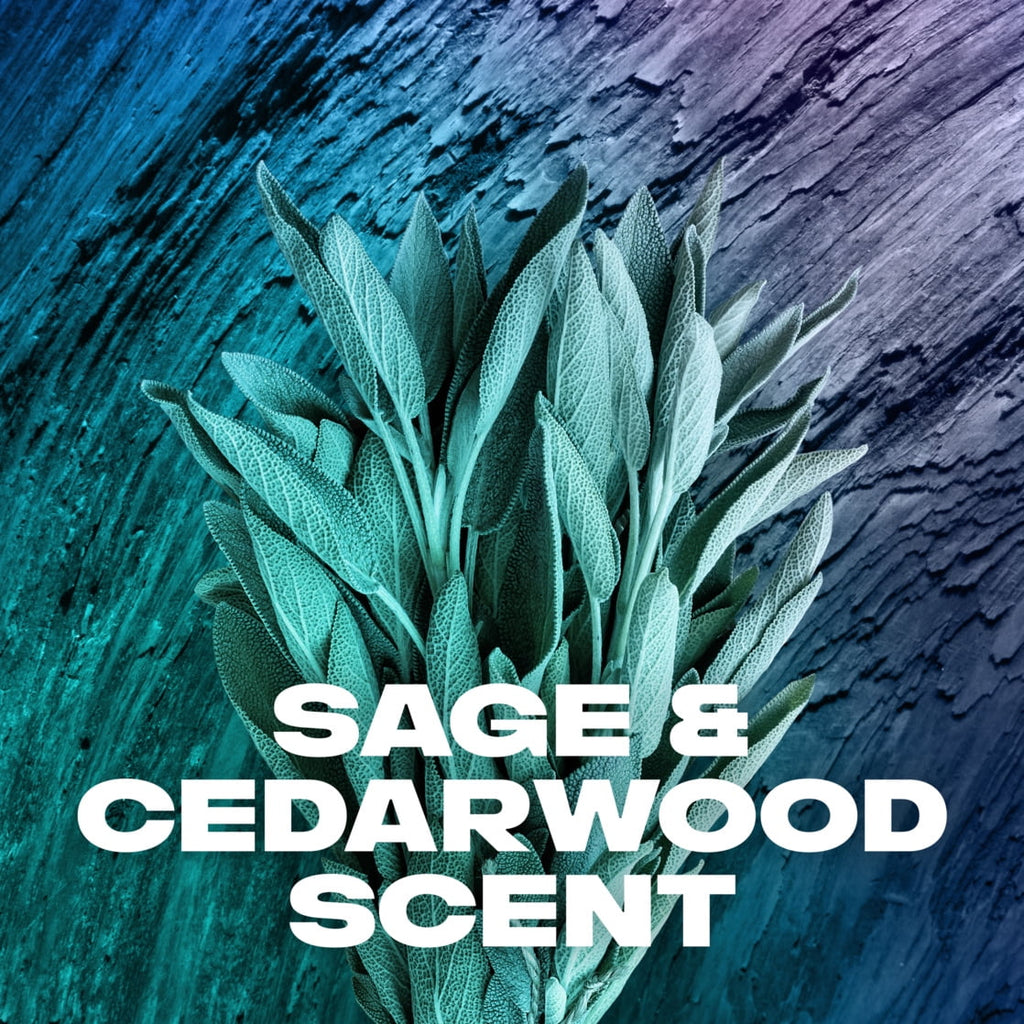 Daily Use Men's Body Wash, Sage and Cedarwood, 32 fl oz - Image 6