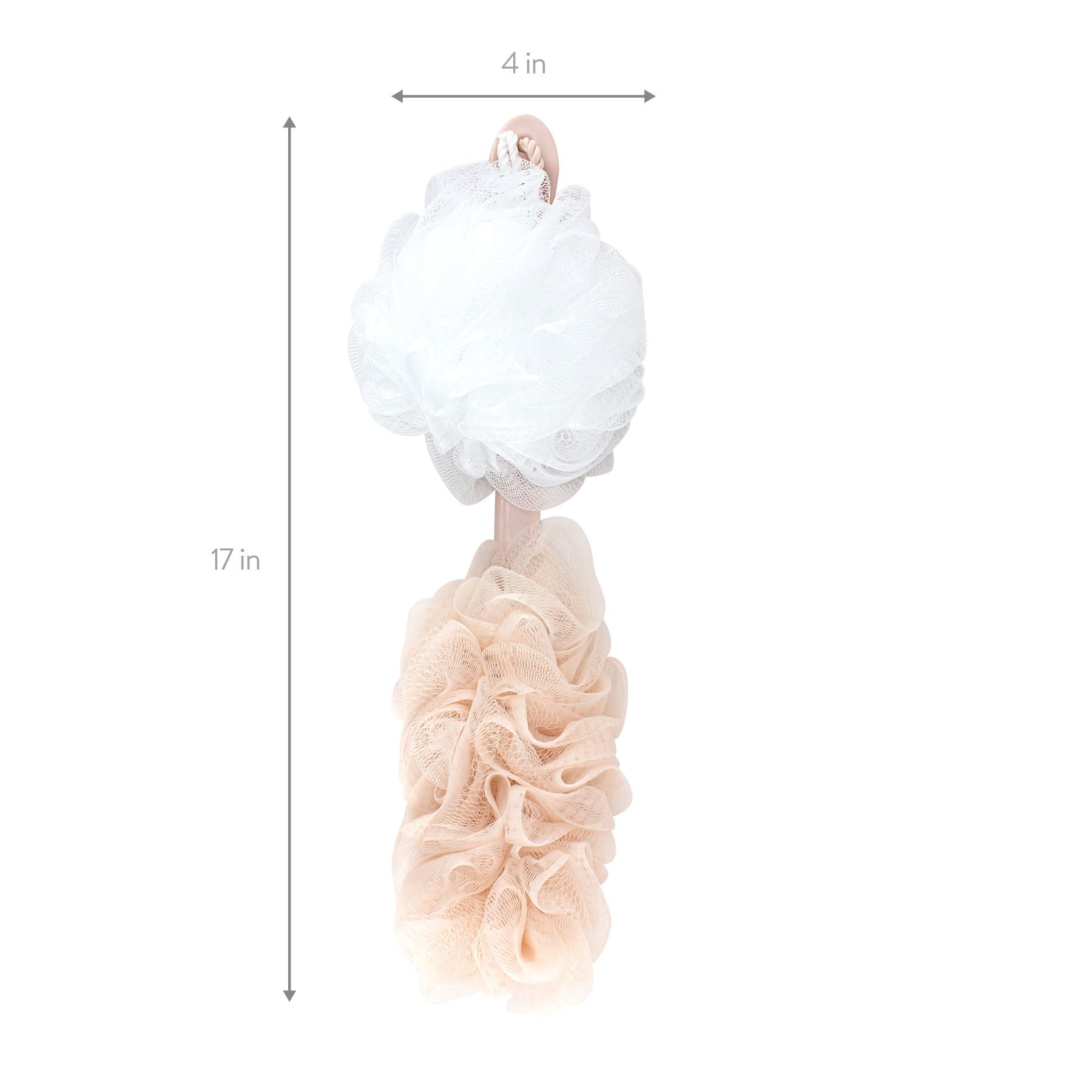 and Sponge - Image 3