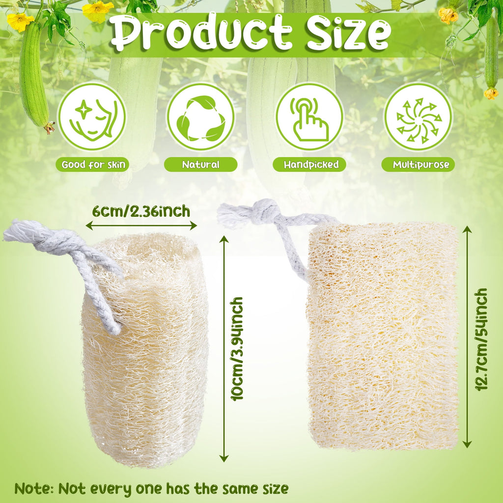 9 Pack Natural Loofah Sponge, Unbleached, 3.9x2.36 in Natural Loofah Exfoliating Bath Scrubber for Adults, Men and Wo... - Image 2