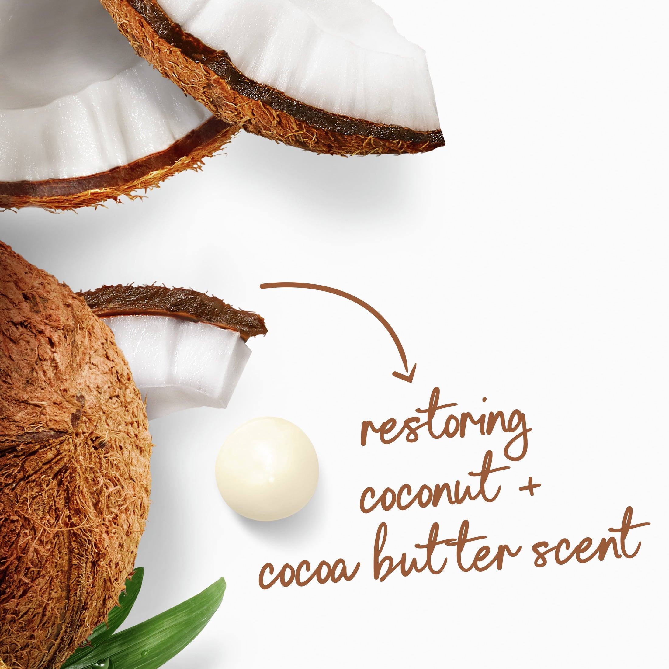 Body Wash for Women Coconut & Cocoa Butter, 30.6 oz with Pump - Image 5
