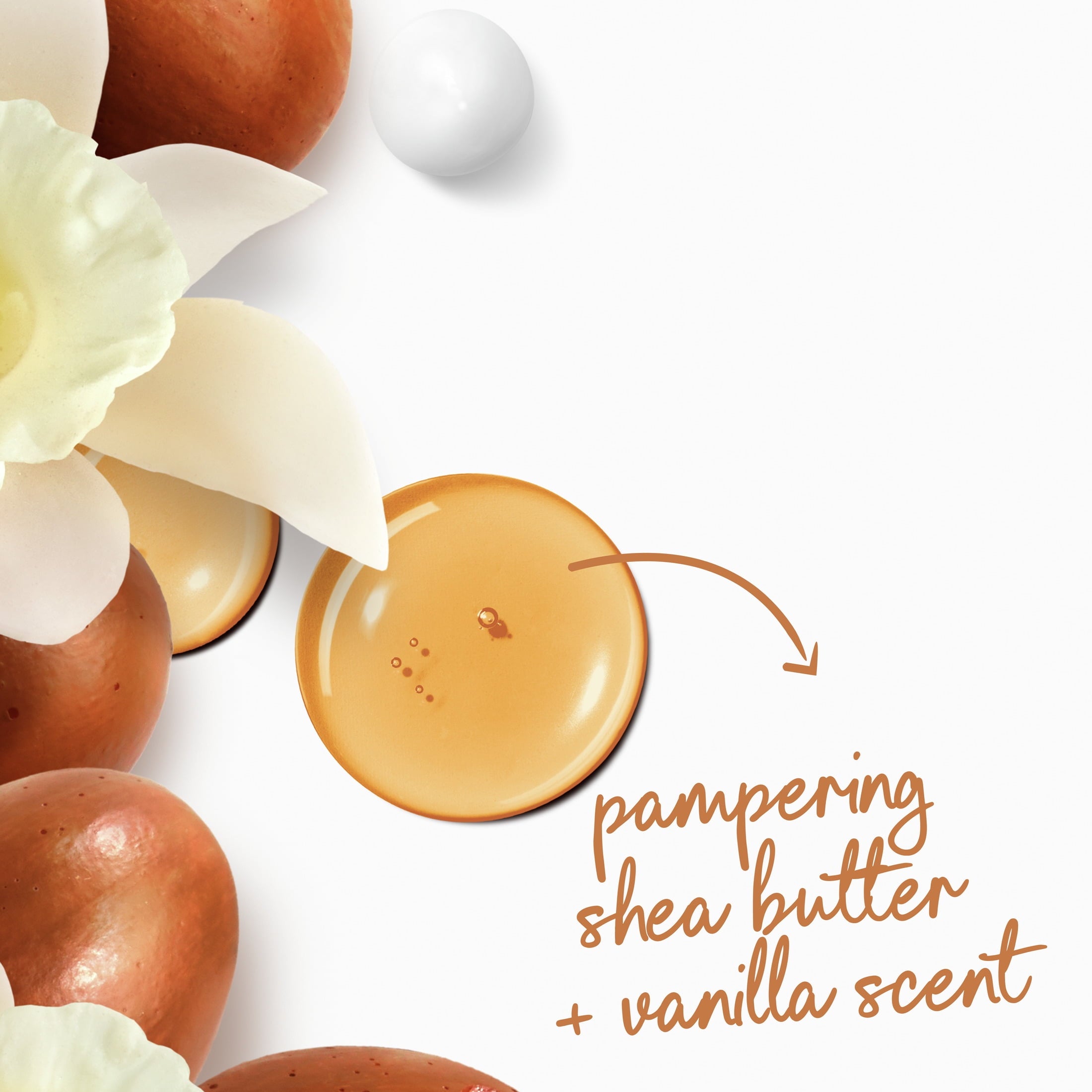 for Women Moisturizing Pamper Shea Butter & Vanilla Moisturizing All Skin, 20oz - Image 5