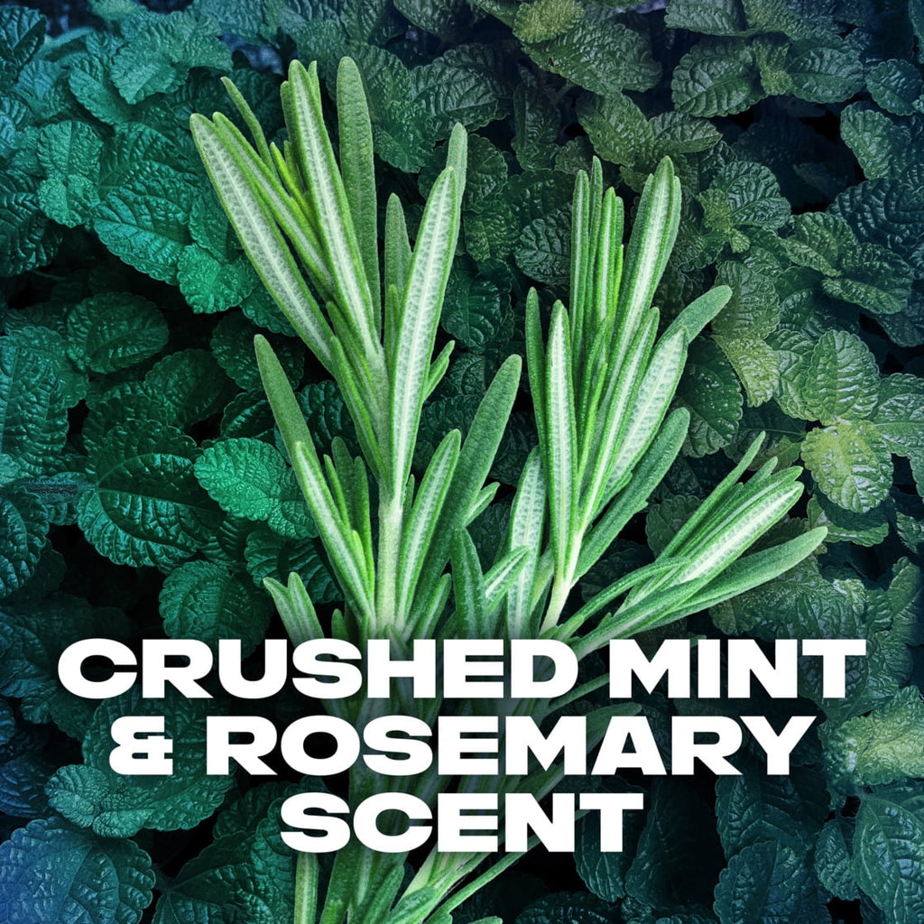 Body Wash & Shower Gel with Pump Phoenix Crushed Mint & Rosemary, 32 fl oz - Image 5