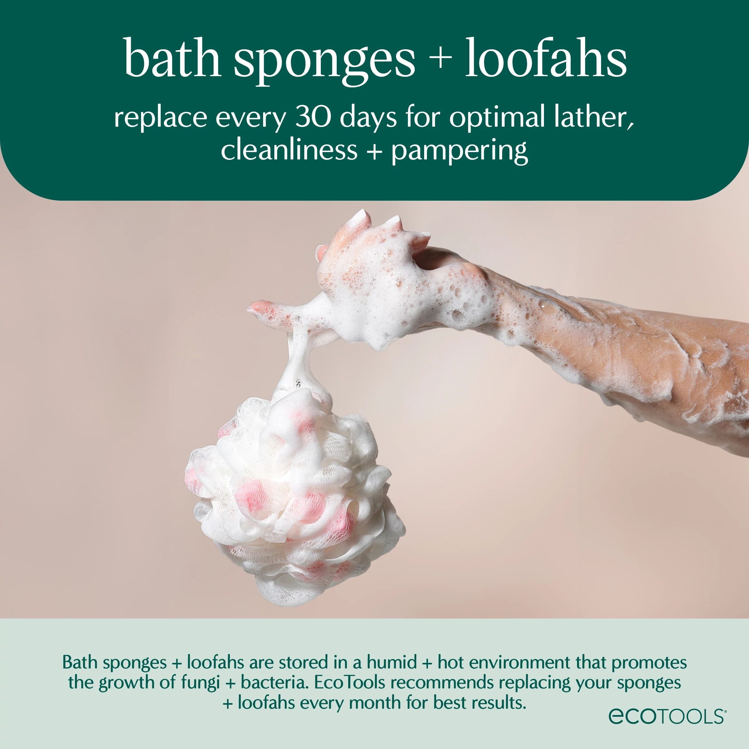 2-in-1 Pouf for Whole-Body Cleansing, Green & Cream Loofah, for Adults 1 Count - Image 6