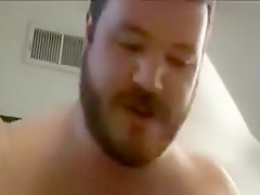 Amateur - Un Tiarron Bear