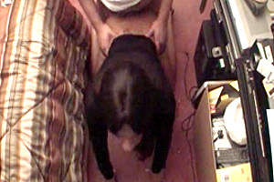 Amateur sucking and fucking scenes with a skilful trans