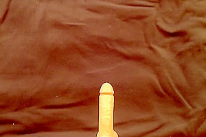 Anal Play( 1)