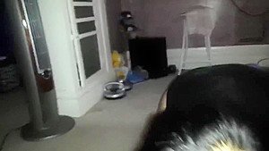 Anal sex with my wife