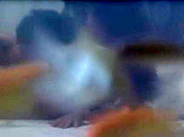 Anne Parillaud - Shattered Image (1998)