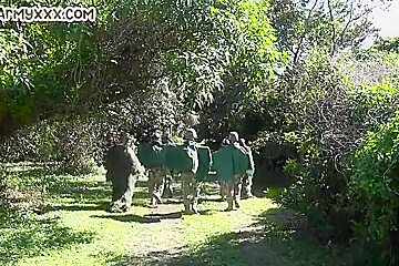 Army Wild Gay Fucked Outdoor In Missionary In Anal Hole