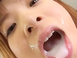 Asian swallow