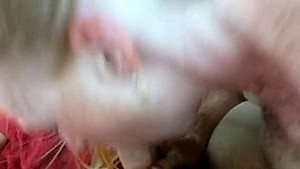 BJ and facial from a girl I met on www imnaughty co uk