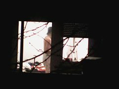 Beautiful Chinese girl exposes her body through the window