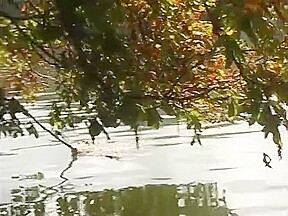 Beautiful girl teases by the river