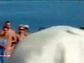 Best Public, Beach sex video