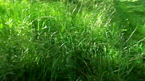 Big tits mature whore fucked outdoor