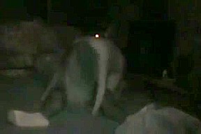 Black Cock Makes Wife scream