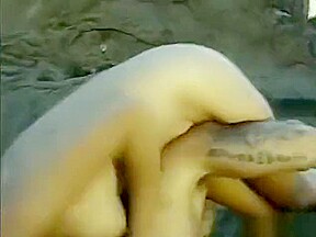 Bodacious brunette dame Donna Warner gets spit roasted outdoors