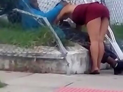 Broad Day Bj