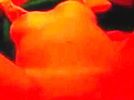 Bulgarian slut Vancheto from Pazardjik 2