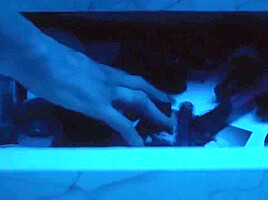 Charlize Theron, Sofia Boutella - Lesbian sex with younger girl - Atomic Bl