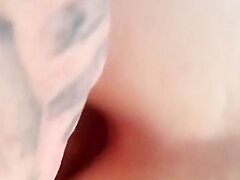 Compilation Of Kitten And I