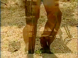 CowCoun