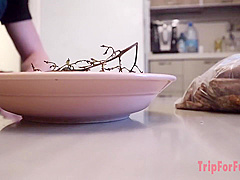 Crazy Porn Clip Creampie Exclusive Pretty One