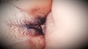 Desi Lover Fucking Video