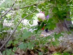 Desperate granny caught peeing in the public park