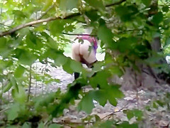 Desperate granny caught peeing in the public park