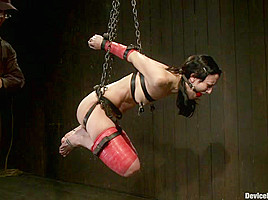 Elise Graves in Hard Bondage Equals Hard Orgasms - DeviceBondage