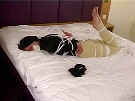 Equestrian Tied up - 2