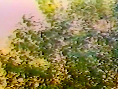 Erotico 2000