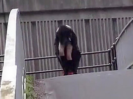 Exhibitionniste, elle pisse au bord d'une route