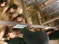 Fabulous Japanese slut Mika Osawa in Exotic Fetish, Blowjob JAV scene