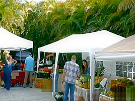 Farmers Market Wife Fuck