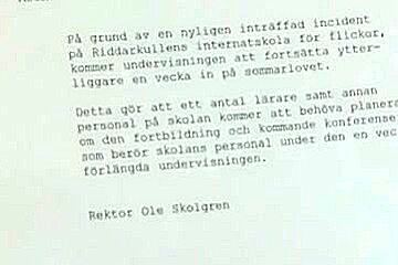 Flickskolan (2008)