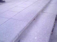Follow the ass 10