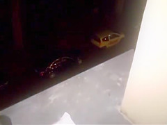 Fuck and footjob in hotelwindow with cum on nylon feet