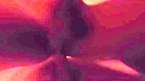 Fuck on a massage table in a spa!