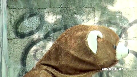 Funny Parody Porn Wiht Isac Used By His Friend Dressed In Bear - ExhibBoys
