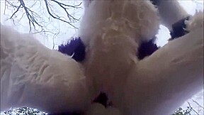 Furry Yiff (Fursuit)