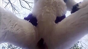 Furry Yiff (Fursuit)