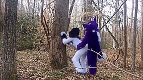 Furry Yiff (Fursuit)