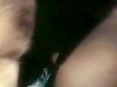 GeckoX - Sue Prentiss R N 3-3