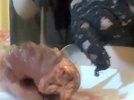 Giantess vore 6 (eating/vore video)