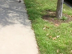 HUGE LATINA BUTTCHEEKS 4