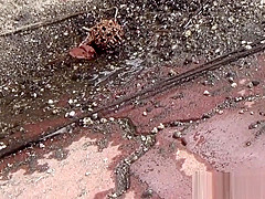 Hairy pussy asian pisses