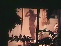 Hidden Window 14