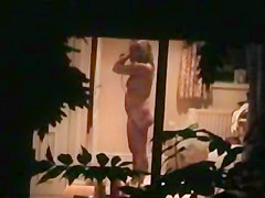 Hidden Window 14
